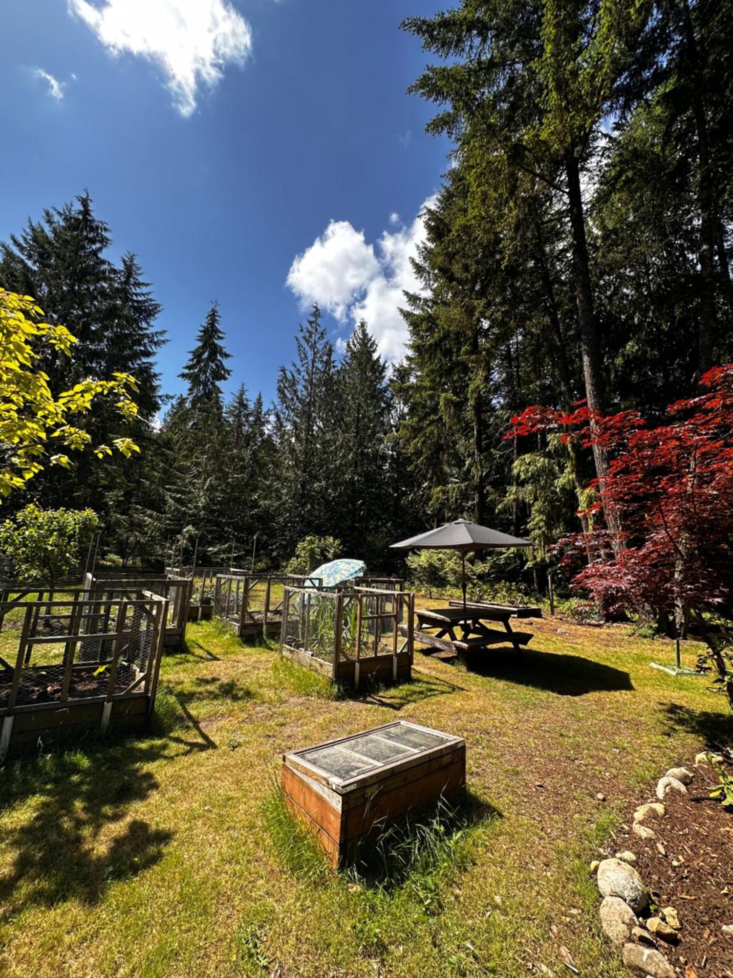 باركسفيل Cedar Song B&B المظهر الخارجي الصورة