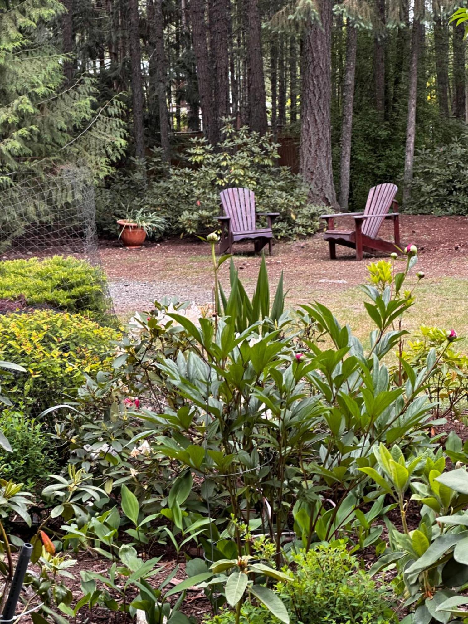 باركسفيل Cedar Song B&B المظهر الخارجي الصورة