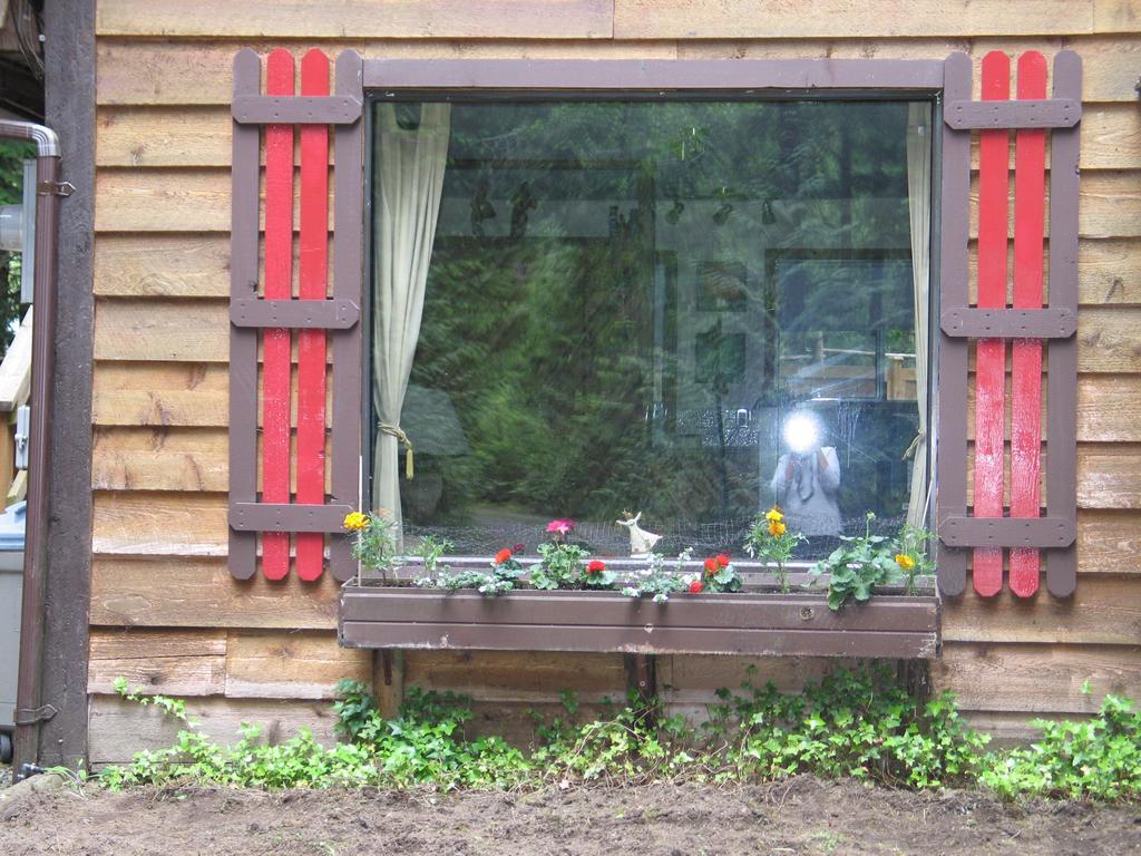 باركسفيل Cedar Song B&B المظهر الخارجي الصورة